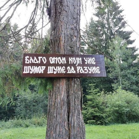 Apartman Bugar Mitrovac Luaran gambar