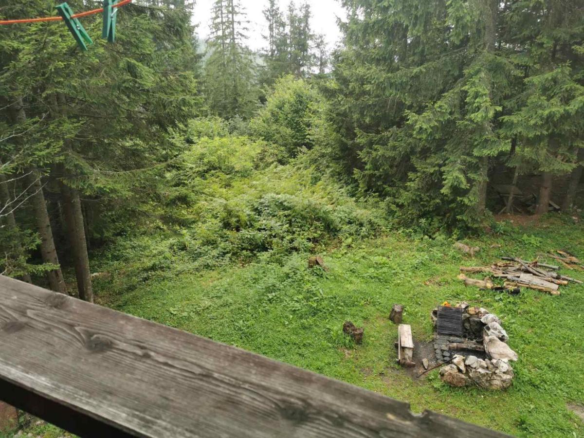 Apartman Bugar Mitrovac Luaran gambar